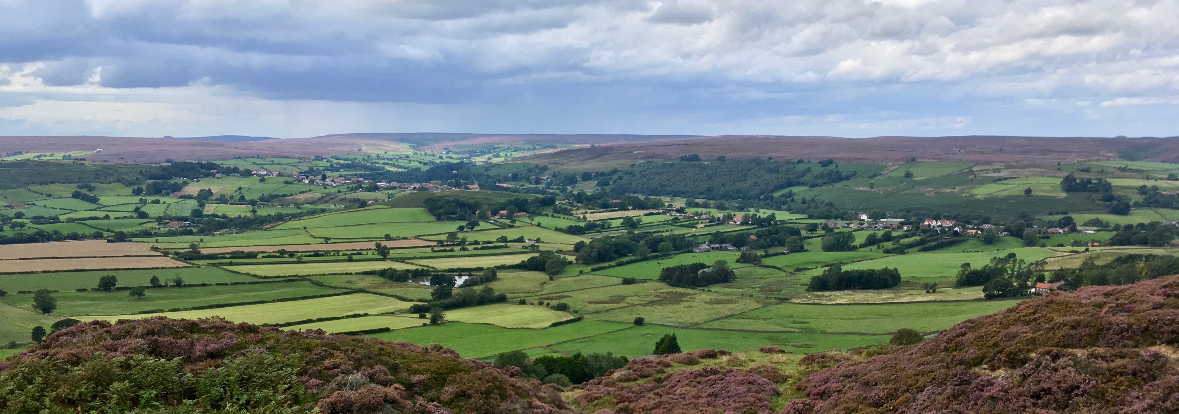 Danby Dale