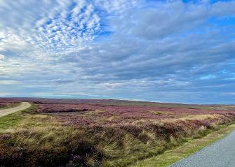 North York Moors